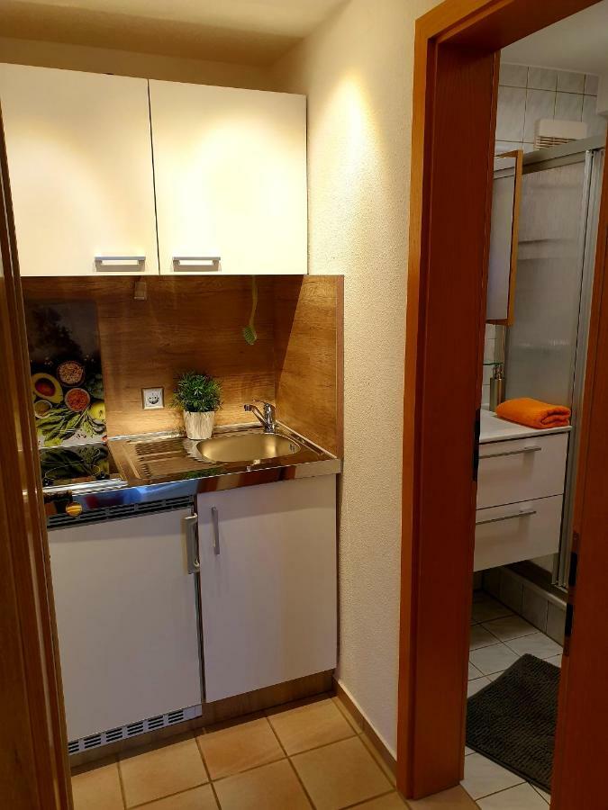 Wohlfuehl-Apartment Bad Kissingen II 외부 사진